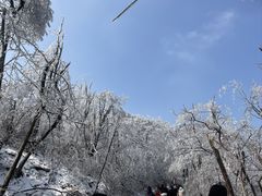 -紫金山山顶公园