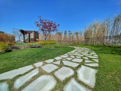 -上海山野camping·户外天幕烧烤·团建拓展营地
