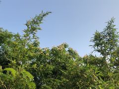-缥缈峰景区