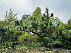 -嘉定博物馆