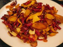 -草墩罗非鱼庄•野生菌•腊排骨(七星街上段店)