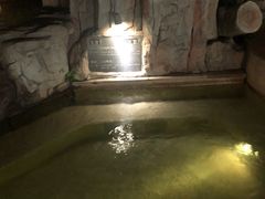 -海口观澜湖火山温泉谷