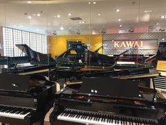 -柏斯音乐艺术中心·钢琴·吉他(世纪金源店)