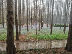 -河南省黄河迎宾馆