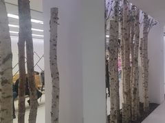 -极简口腔(总院)