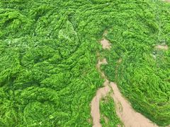 -青岛银沙滩