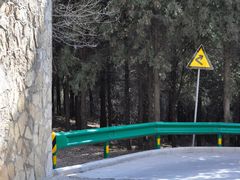 -原山国家森林公园