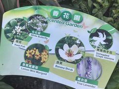 -九龙公园