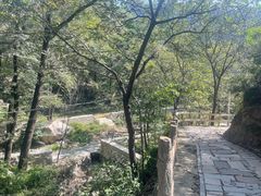 -大岭沟猕猴桃谷风景区
