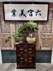 -六宫Spa女子养护中心