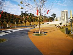 -白石龙音乐公园