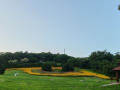 -棒棰岛宾馆景区