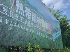 -呀诺达热带雨林