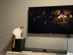 -海底捞火锅(长沙华创国际广场店)