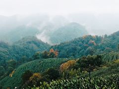 -杭州西湖风景名胜区-满觉陇四眼井