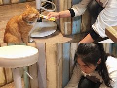 -小时光咖啡馆(开森度假森林店)
