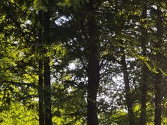 -贵阳市花溪国家城市湿地公园