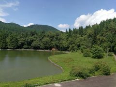 -武陵山森林公园