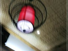 -秦巴故里(60厂店)