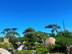 -罗红摄影艺术馆