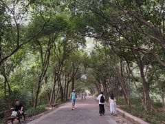 -灵谷景区