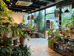 -自由生长植物工作室(深港花卉中心店)