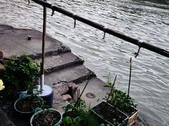 -丝绸小镇荻港古村