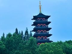 -乡亲鹅肉城(吴江店)