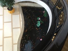 -千岛湖鱼味馆(十字街总店)