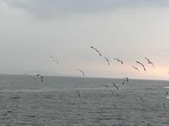 -奕景小馆·地道大连菜(恒隆广场店)