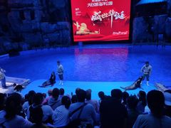 -芜湖新华联大白鲸海洋公园