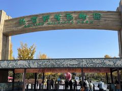 -北京野生动物园