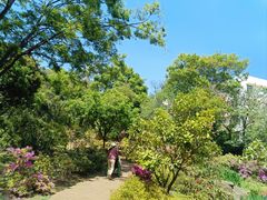 -昆明植物园