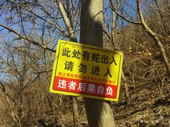 -白水寺森林公园