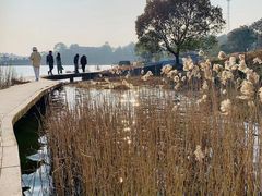 -南京市无想山景区