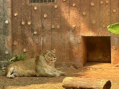-昆明动物园