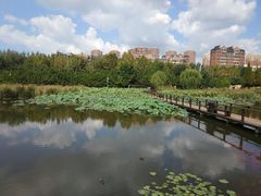 -前关湿地公园