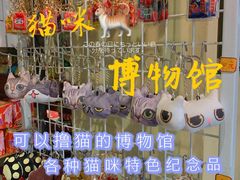 -猫咪博物馆(顶澳仔猫街店)