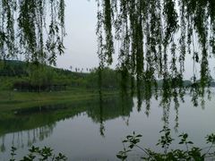 -河北省园博园