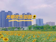 -光明小镇欢乐田园