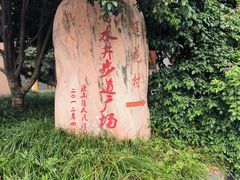 -南山植物园