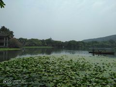 -西湖外事游船(花港观鱼码头)