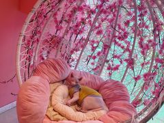 -藏猫猫咖啡主题馆(中央大道店)