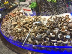 -九寸花汀(摩天活力城店)