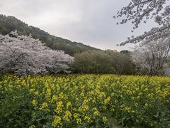 -苏州上方山国家森林公园
