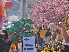 -南山植物园