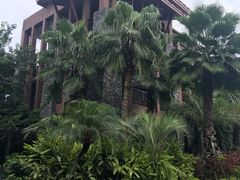 -广州从化都喜泰丽度假温泉酒店