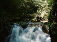 -牛背梁国家森林公园