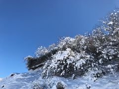 -太子岭滑雪场