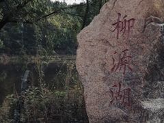 -六里坪国家森林公园